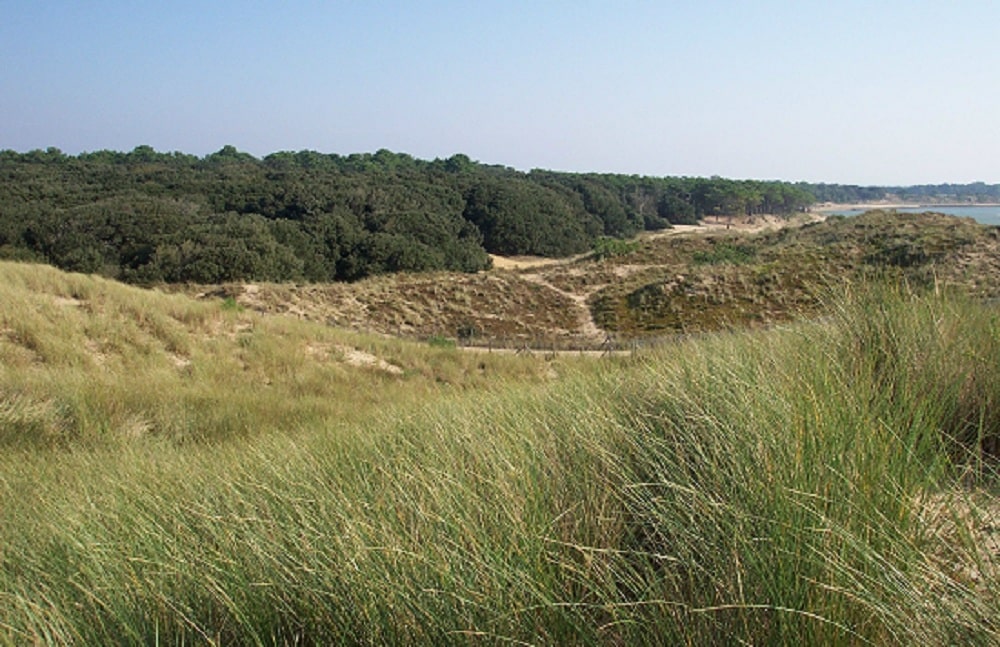 Site du Veillon