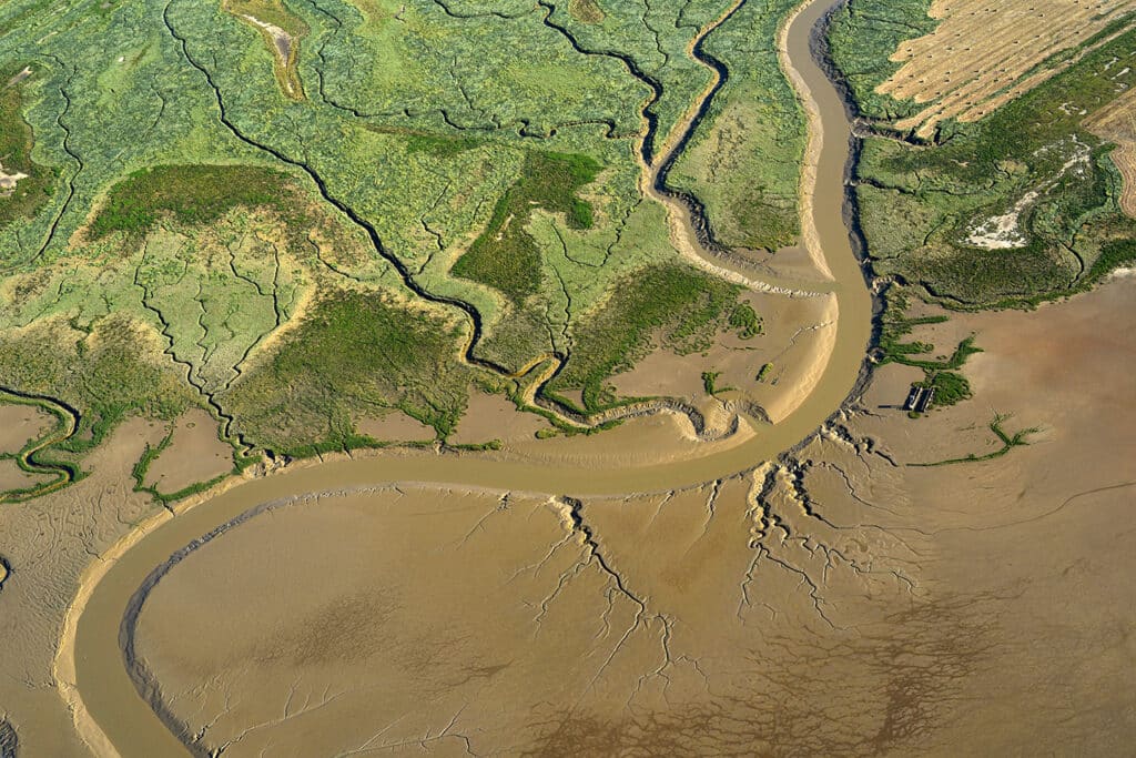 Baie de l'Aiguillon