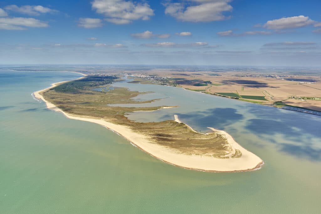 La Pointe d'Arçay, réserve naturelle près du Camping Le Bellevue à La-Tranche-sur-Mer